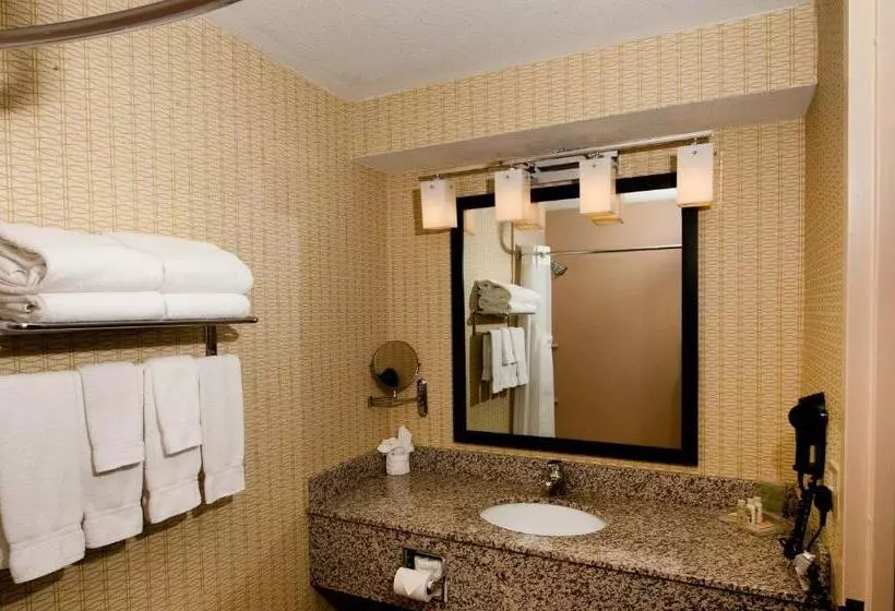 エクゼクティブルーム, Holiday Inn St. Louis Airport West Earth City, An Ihg