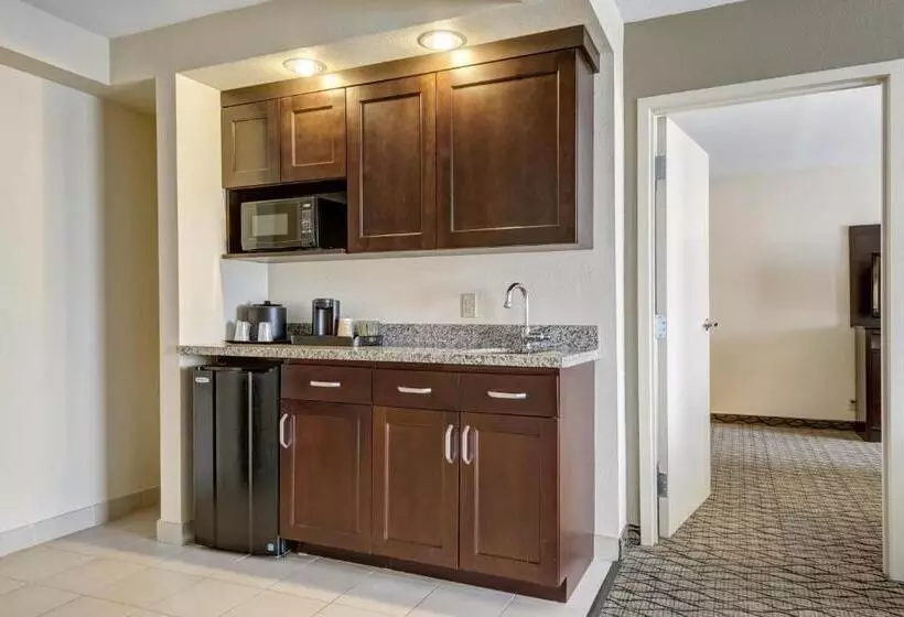 キングサイズベッドのスイートルーム, Holiday Inn St. Louis Airport West Earth City, An Ihg
