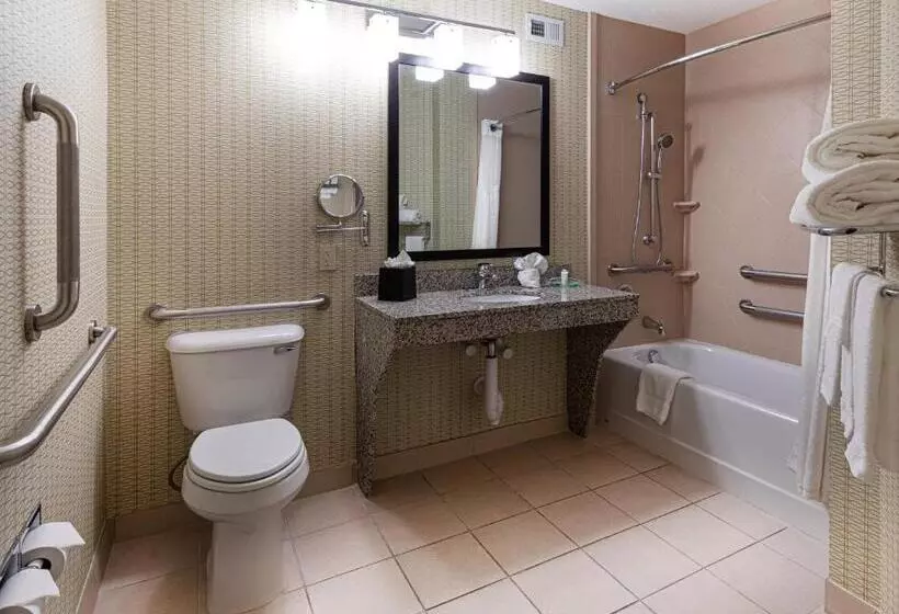 身障者適用キングサイズベッドルーム, Holiday Inn St. Louis Airport West Earth City, An Ihg