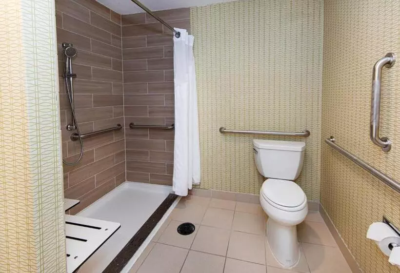 身障者適用キングサイズベッドルーム, Holiday Inn St. Louis Airport West Earth City, An Ihg