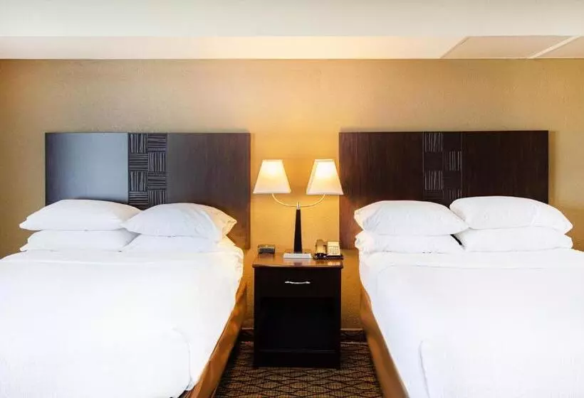 身障者適用スタンダードルーム, Holiday Inn St. Louis Airport West Earth City, An Ihg
