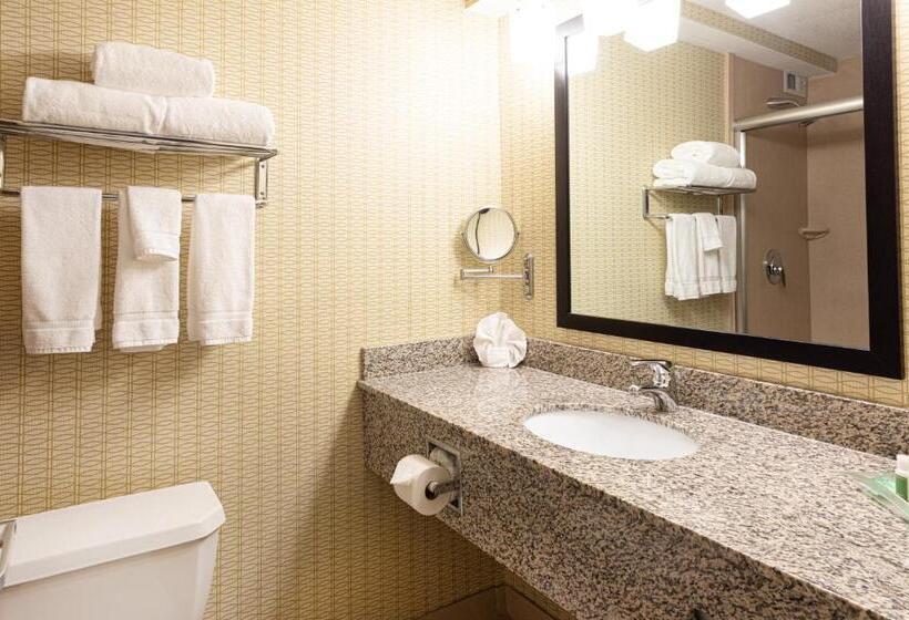 غرفة قياسية لذوى الاحتياجات الخاصة, Holiday Inn St. Louis Airport West Earth City, An Ihg