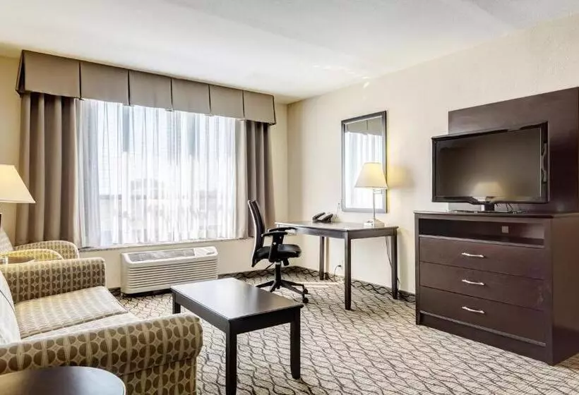 身障者適用スイートルーム, Holiday Inn St. Louis Airport West Earth City, An Ihg