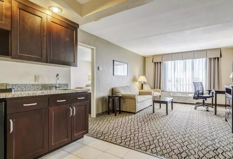 身障者適用スイートルーム, Holiday Inn St. Louis Airport West Earth City, An Ihg