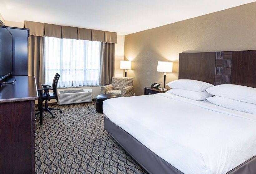 جناح لذوى الاحتياجات الخاصة, Holiday Inn St. Louis Airport West Earth City, An Ihg