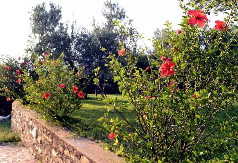 3ベッドルームハウス, Agriturismo Le Carolee