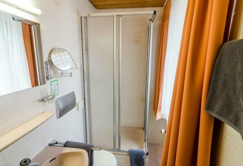 Standart Tek Kişilik Oda, Altstadthotel Wienecke