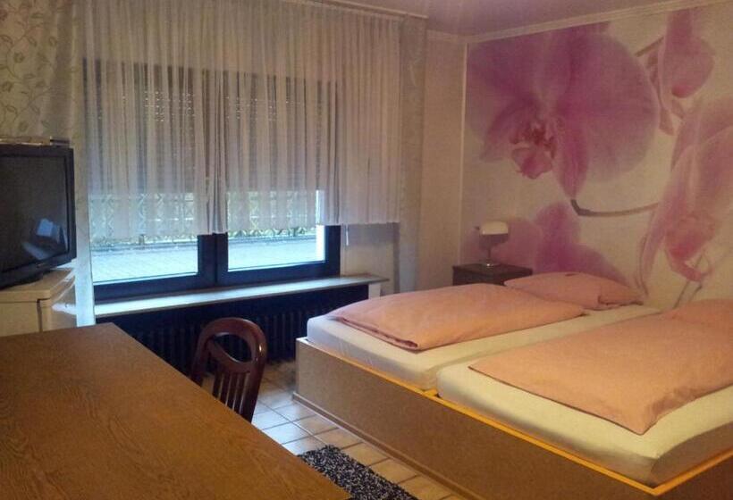 スタンダードルーム, Am Hallenbad Hotel Garni