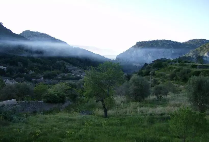اتاق استاندارد, Es Petit Hotel De Valldemossa