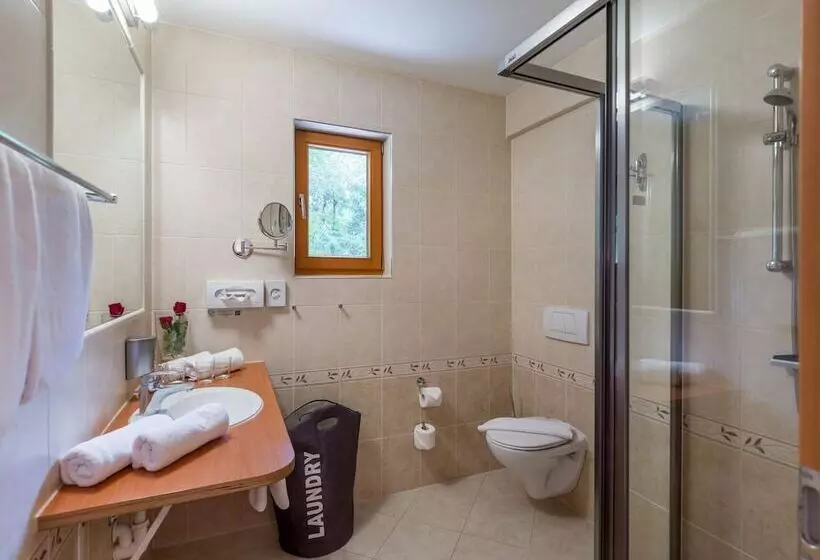 ３ベッドルームアパートメント, Gartenhotel Rosenhof Bei Kitzbühel
