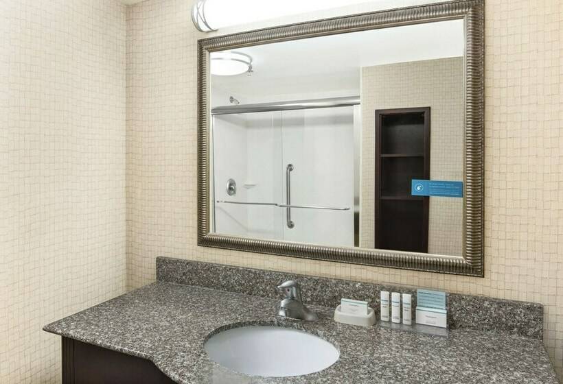 스탠다드 룸 더블 침대, Hampton Inn & Suites Savannahairport