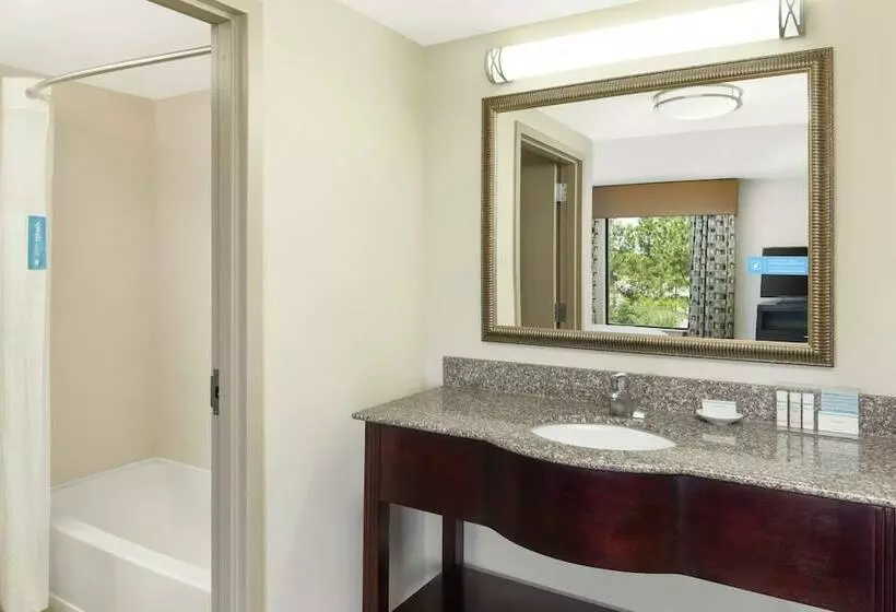ダブルベッドスタンダードルーム, Hampton Inn & Suites Savannahairport