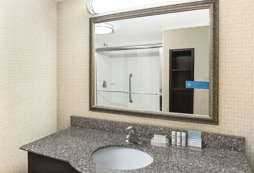 스탠다드 룸 더블 침대, Hampton Inn & Suites Savannahairport