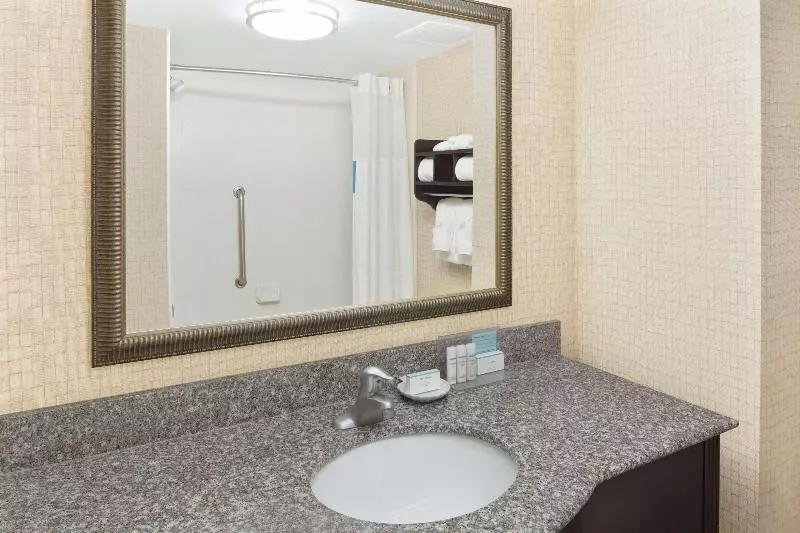 レイクビュースタンダードルーム, Hampton Inn & Suites Savannahairport