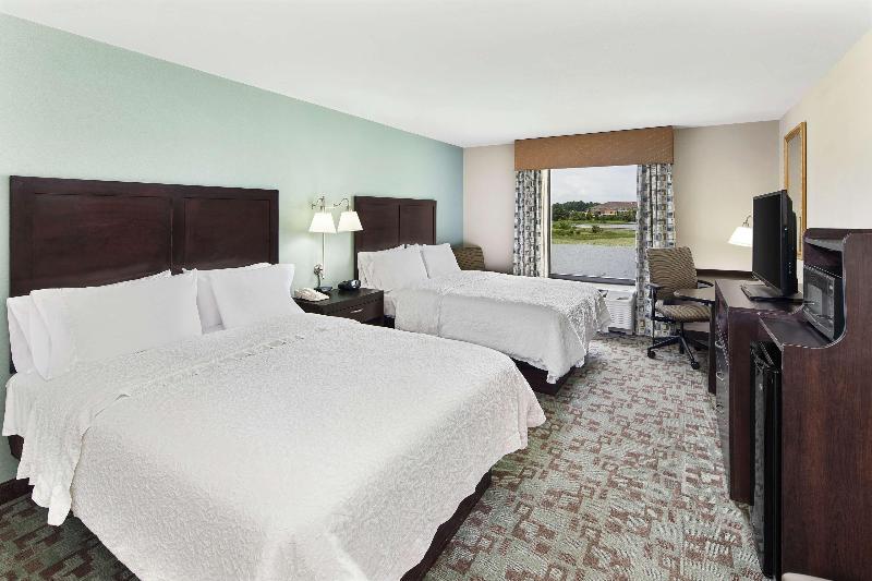 스탠다드 룸 호수 전망, Hampton Inn & Suites Savannahairport