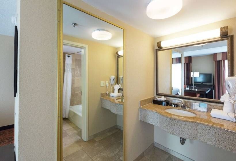 스탠다드 룸, Hampton Inn Suites Jacksonville Airport