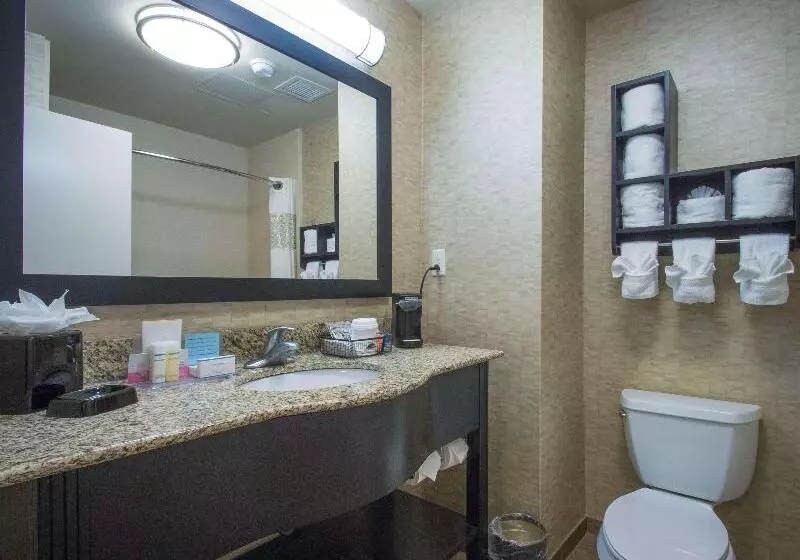 اتاق استاندارد با تخت بزرگ, Hampton Inn Greenville