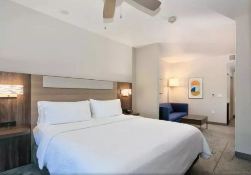 キングサイズベッドのスイートルーム, Holiday Inn Express & Suites North Dallas At Preston, An Ihg