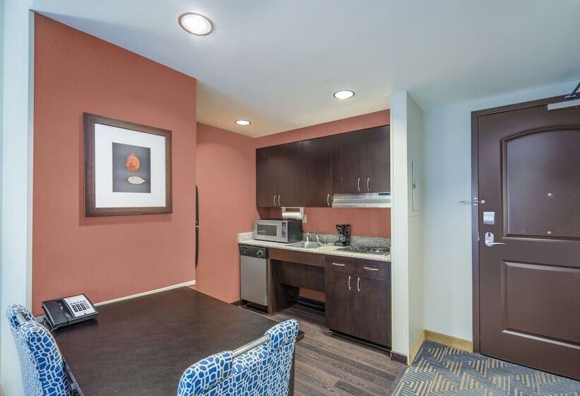 Suite Aangepast voor Gehandicapten, Homewood Suites By Hilton Louisvilleeast