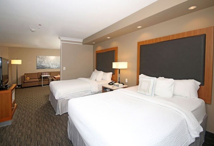 Студия Стандарт, Springhill Suites By Marriott Charleston North
