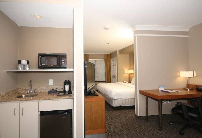 Студия Стандарт Двуспальная Кровать, Springhill Suites By Marriott Charleston North
