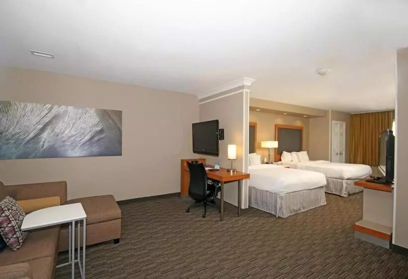 ダブルベッドのスタンダードスタジオ, Springhill Suites By Marriott Charleston North