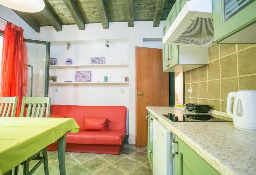 דירת חדר עם טרסה, Garden Apartment