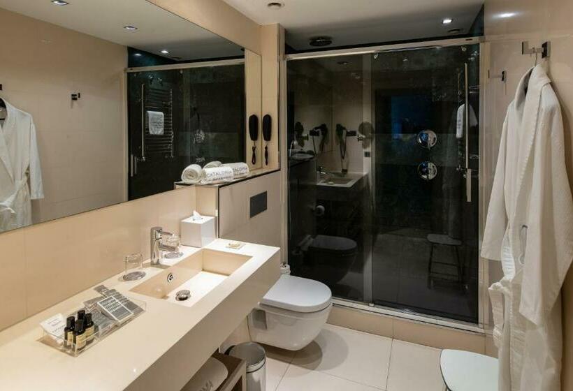 اتاق سوپریور, Catalonia Plaza Mayor