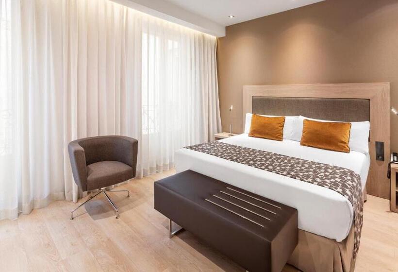 اتاق استاندارد برای معلولان, Catalonia Plaza Mayor