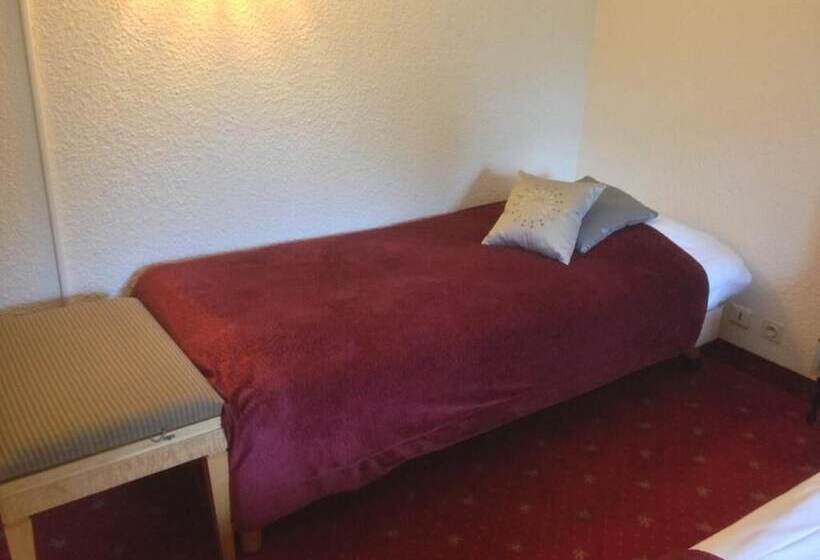 스탠다드 트리플 룸, Le Branhoc Brit Hotel Auray