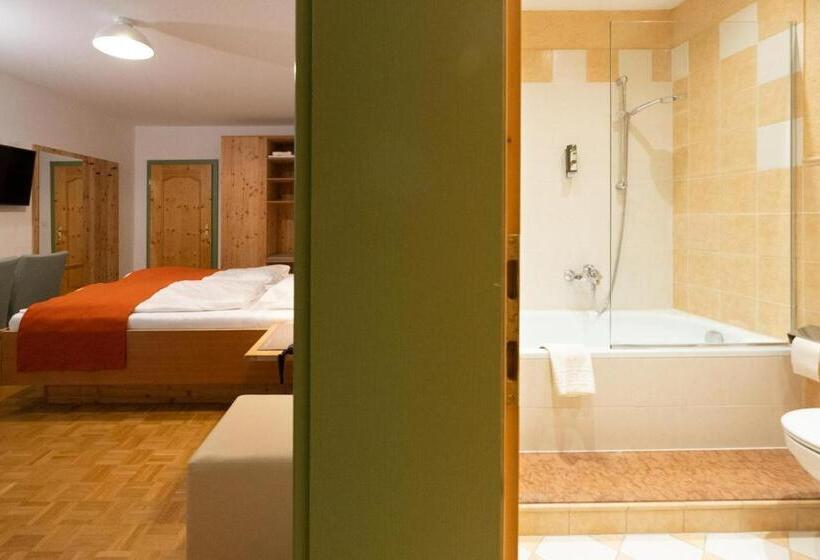 스탠다드 트리플 룸, Santner,