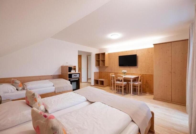 스탠다드 트리플 룸, Santner,