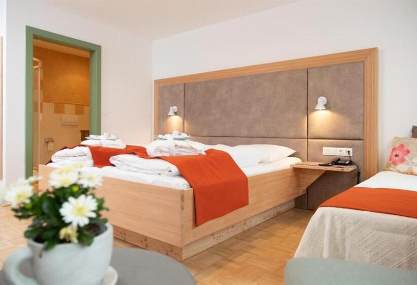 스탠다드 트리플 룸, Santner,