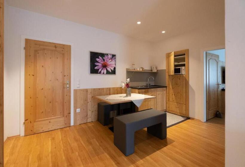 침실 1개 테라스 아파트, Santner,