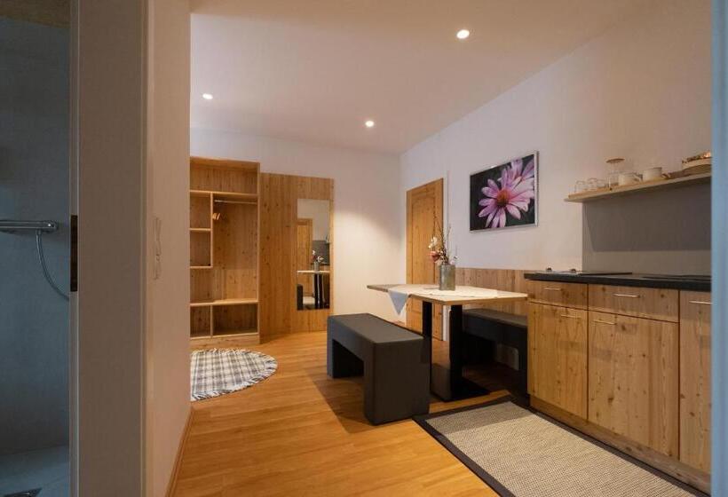 침실 1개 테라스 아파트, Santner,