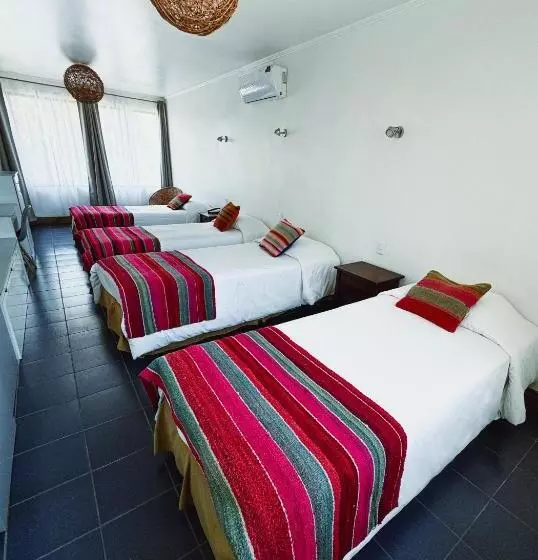 اتاق استاندارد چهار تخته, Avenida En Arica