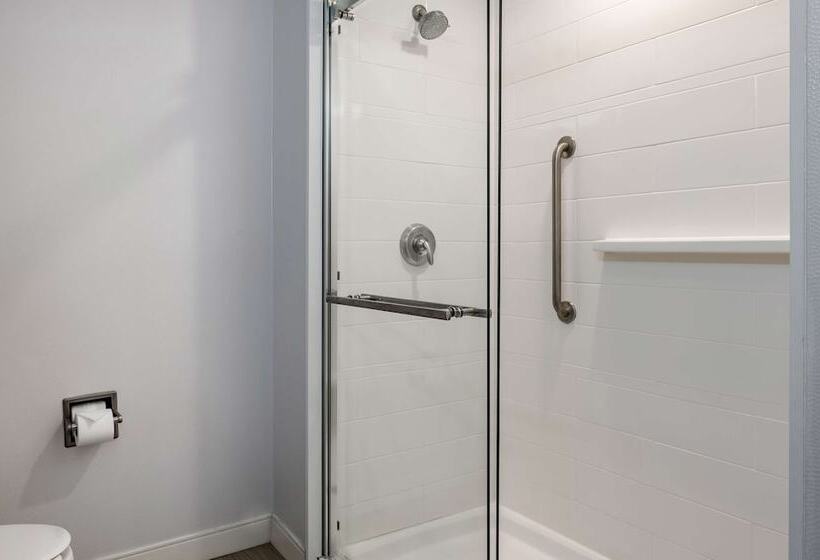 اتاق استاندارد با تخت بزرگ, Hampton Inn Greenfield