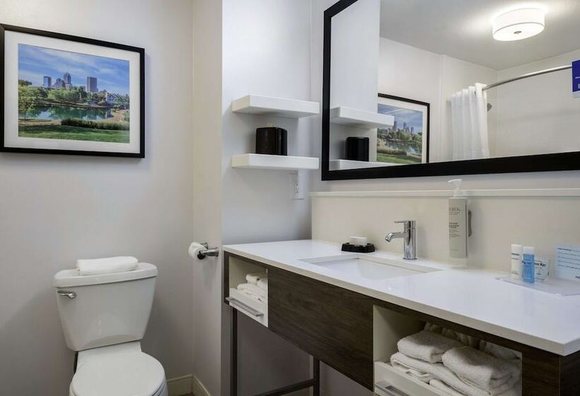 اتاق استاندارد با تخت بزرگ, Hampton Inn Greenfield