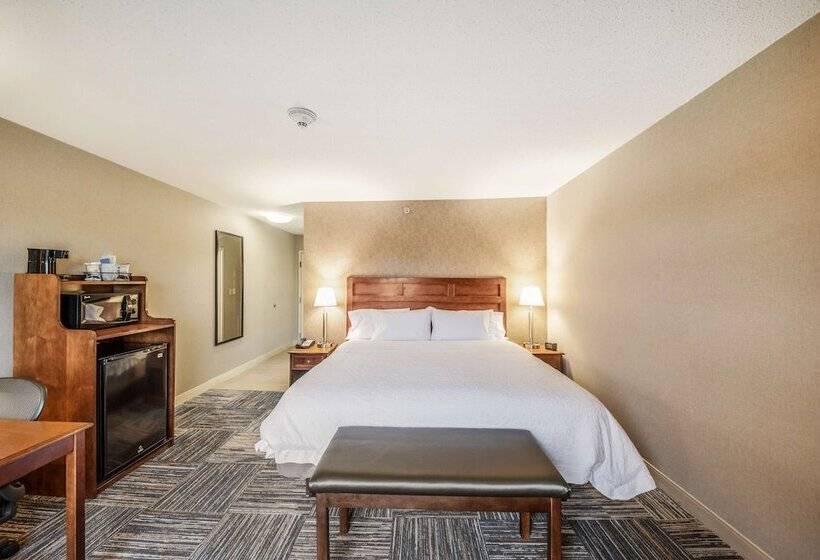 اتاق استاندارد با تخت بزرگ, Hampton Inn Greenfield
