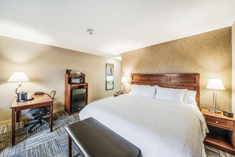 キングサイズベッドのスタンダードルーム, Hampton Inn Greenfield