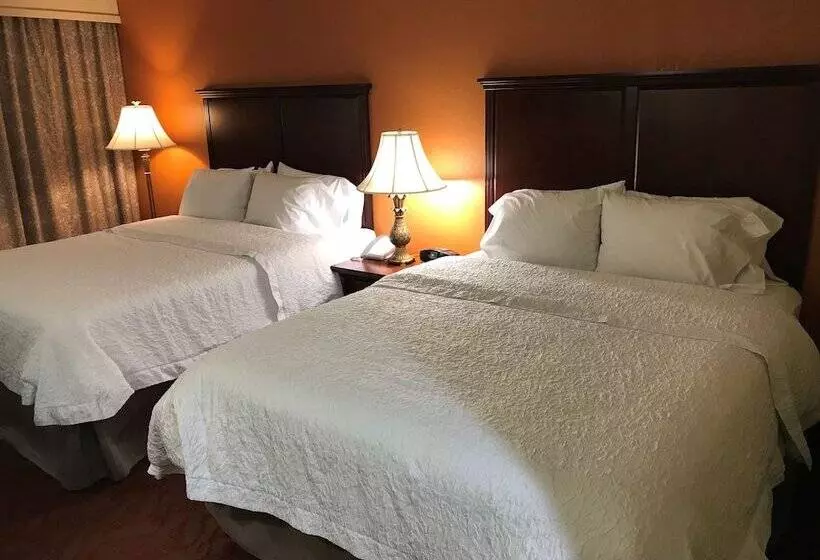 Standard-studio, Hampton Inn & Suites Bolingbrook