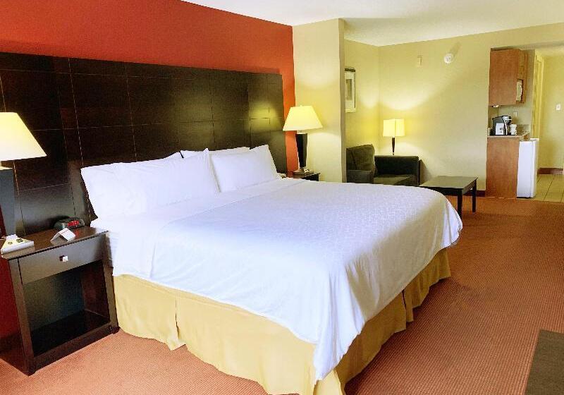 キングサイズベッドのスイートルーム, Holiday Inn Express And Suites Atlanta Johns Creek, An Ihg