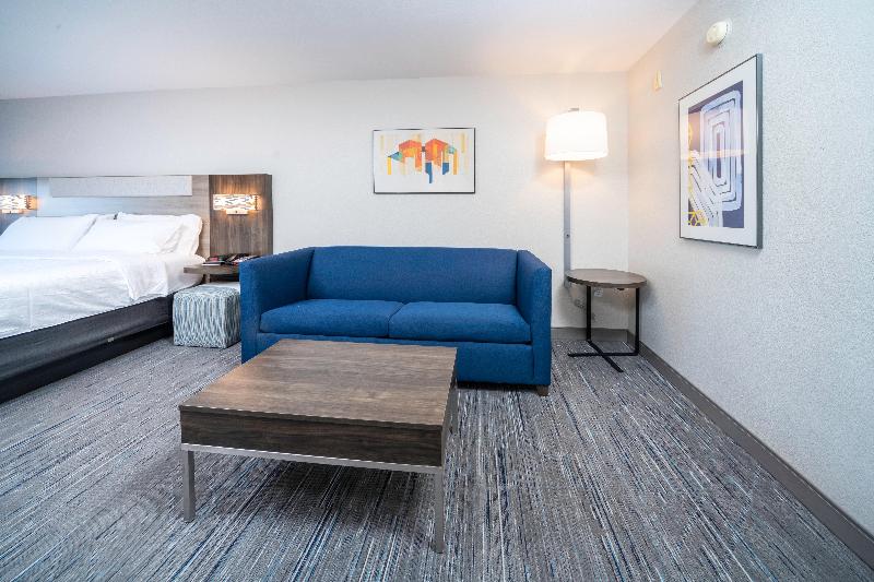 キングサイズベッドのスイートルーム, Holiday Inn Express And Suites Atlanta Johns Creek, An Ihg