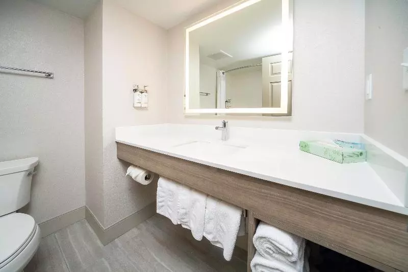 キングサイズベッドのスタンダードルーム, Holiday Inn Express And Suites Atlanta Johns Creek, An Ihg