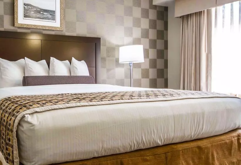 سوئیت برای معلولان, Med Park, Ascend Hotel Collection