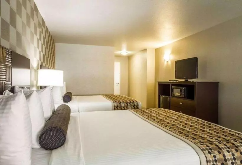 اتاق استاندارد, Med Park, Ascend Hotel Collection