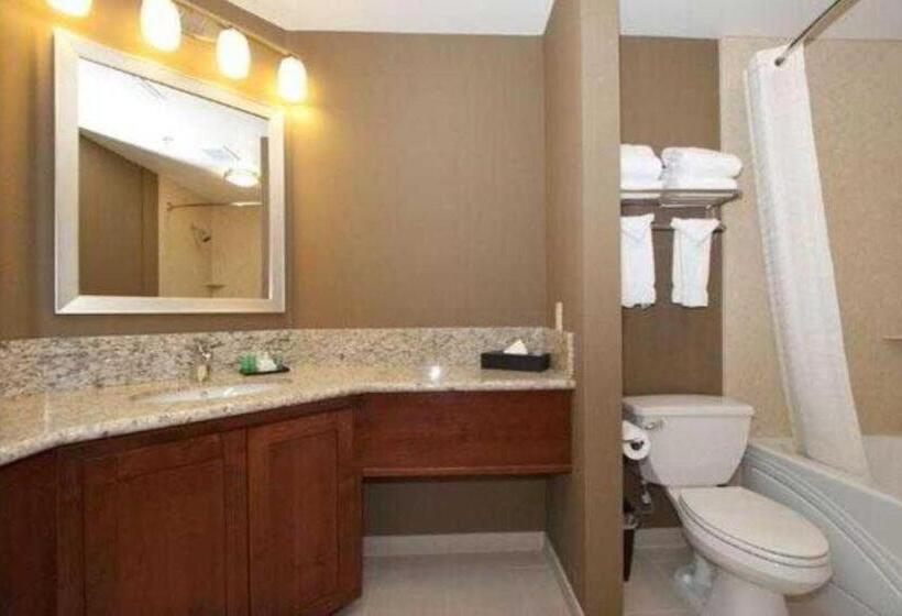 Люкс Адаптированный для Инвалидов, Med Park, Ascend Hotel Collection