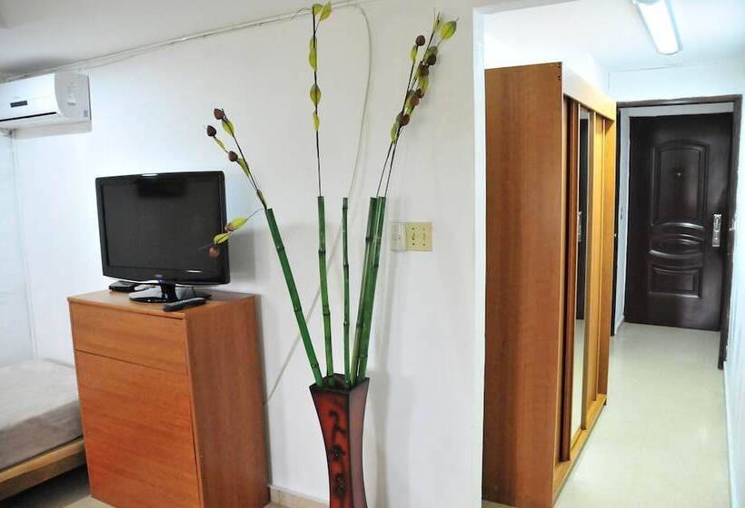 חדר סטנדרט לארבעה, Mediterranean Dreams