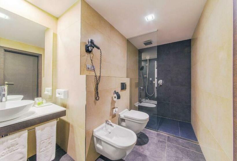 اتاق استاندارد, NH Bratislava Gate One