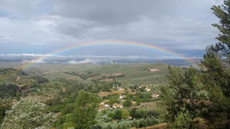 חדר סטנדרט, San Julian